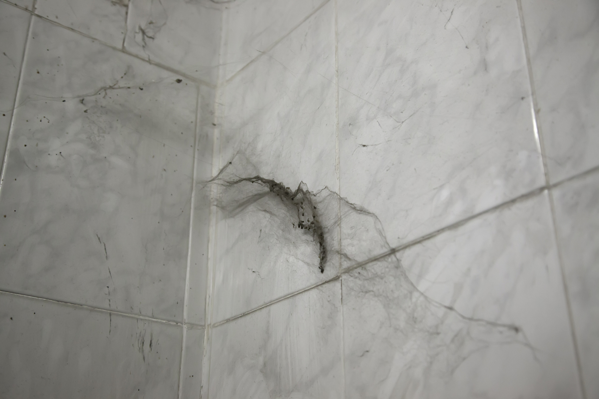 墙砖空鼓怎么修补视频教程(针对近两年墙砖空鼓的现象的维修方法) 墙砖空鼓怎么修补视频教程(针对近两年墙砖空鼓的现象的维修方法)